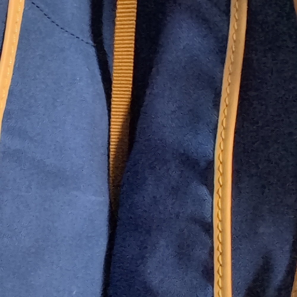 Dooney & Bourke Disneyland Blue and Tan Tote - Picture 6 of 6